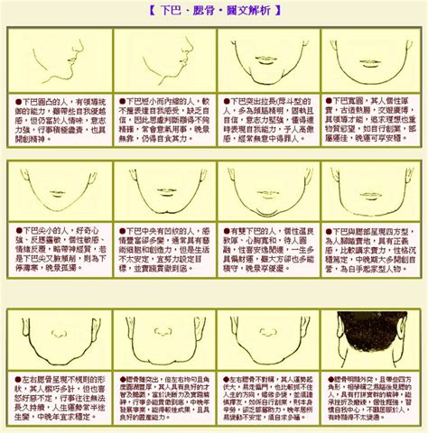 厚道 面相|【下巴厚道面相】下巴藏驚人面相密碼！原來下巴厚道。